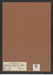 Huttonia labuanii (Cleve) Grun. (de-Toni-Nr.: Genus 185, Species 4616) Zeichnungen Sammlung Grunow Mappe 04519 (Herbarium_W_Grunow_drawings_Folder_04519)